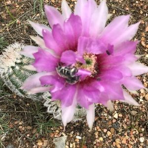 Meet your Posher, Debbie